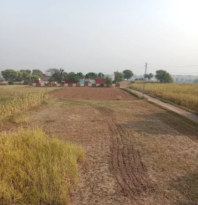 Government Primary School Mughal Picture 3