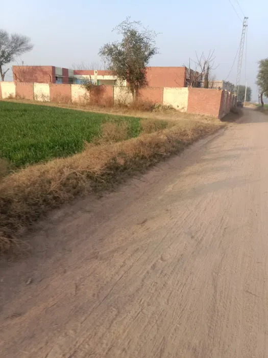 Government Primary School Mughal Picture 1