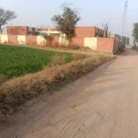 Government Primary School Mughal ico