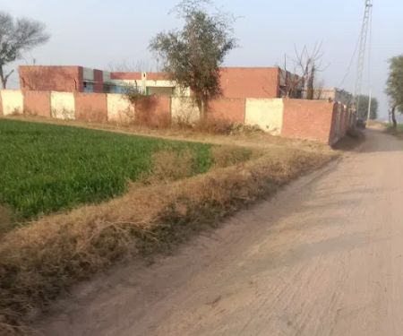 Government Primary School Mughal