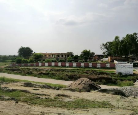 Government Boys High School