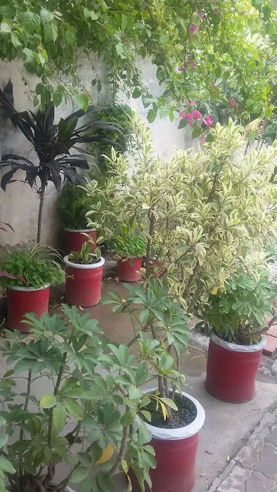 Ayub Degree College Picture 1