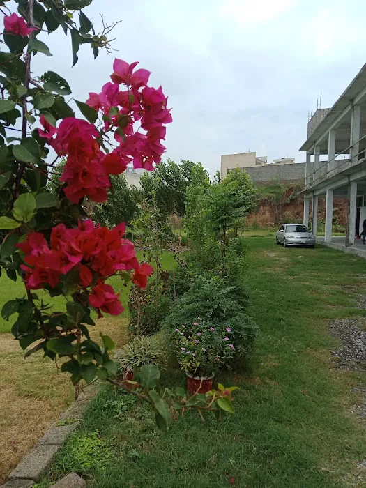 Ayub Degree College Picture 8