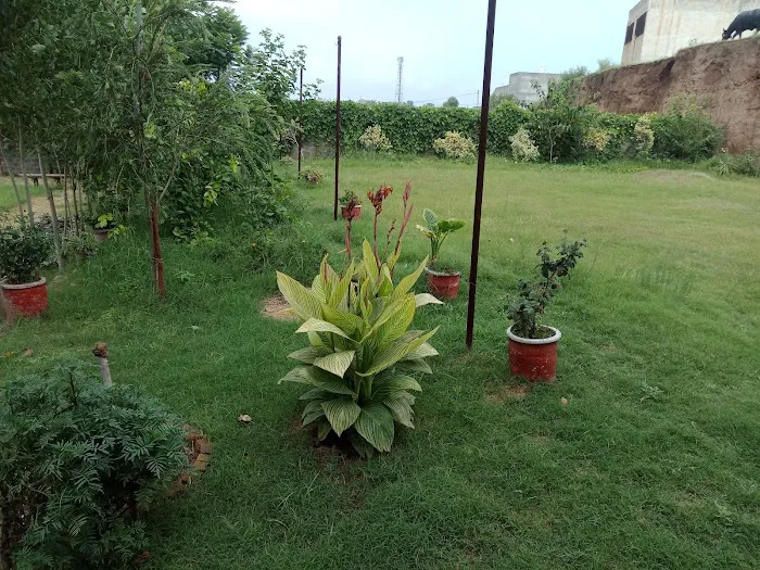 Ayub Degree College Picture 7