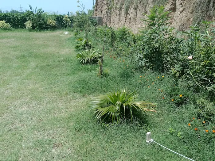 Ayub Degree College Picture 9