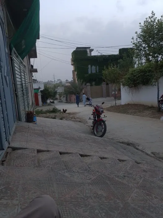 THE ELEGANT SCHOOL Picture 2