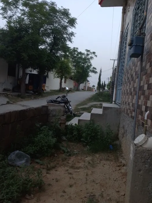 THE ELEGANT SCHOOL Picture 1