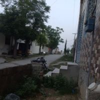 THE ELEGANT SCHOOL ico