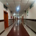 The University of Haripur
