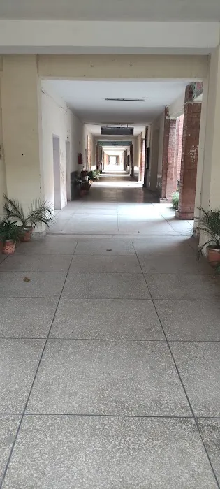 Department of Forestry Picture 1