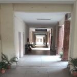 Department of Forestry