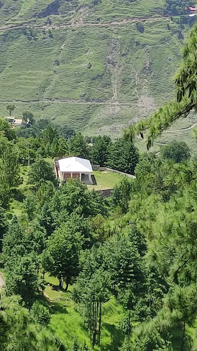 Govt Primary School Ta'adra, Tajwal تھدرا تاجوال Picture 1