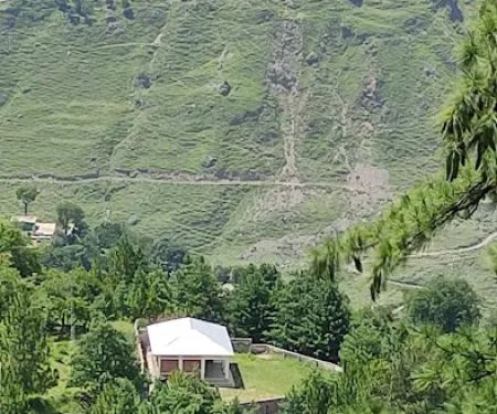 Govt Primary School Ta'adra, Tajwal تھدرا تاجوال