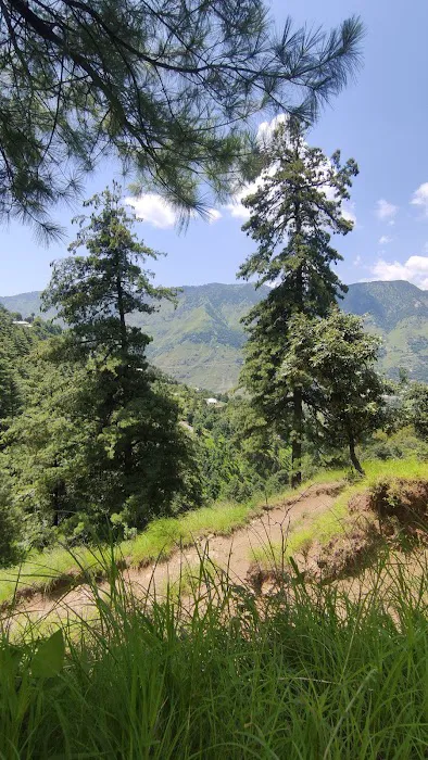 Govt Primary School Ta'adra, Tajwal تھدرا تاجوال Picture 5