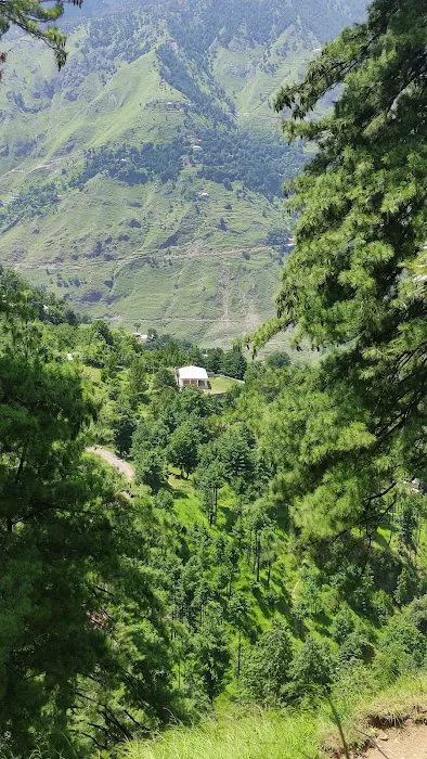 Govt Primary School Ta'adra, Tajwal تھدرا تاجوال Picture 3