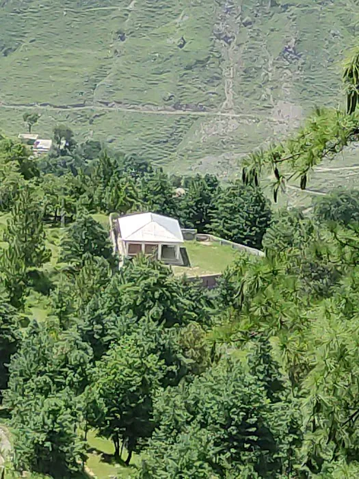 Govt Primary School Ta'adra, Tajwal تھدرا تاجوال Picture 4