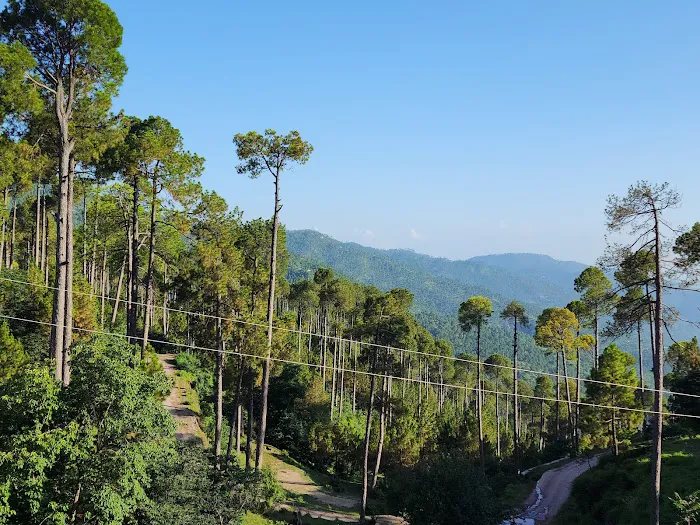 Pakistan Cadet School & College Picture 7