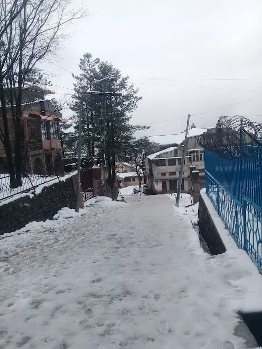 Government College of Commerce Murree Picture 6