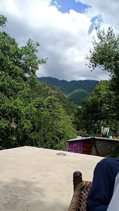 Govt Primary School Ramkot Tajwal Picture 1