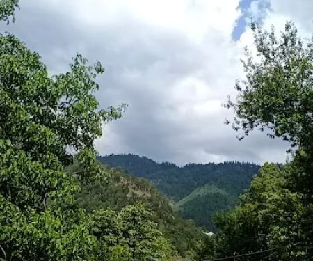 Govt Primary School Ramkot Tajwal