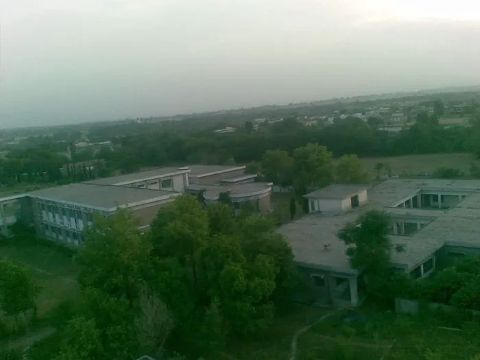 Government College Of Managment Sciences,Haripur Picture 8