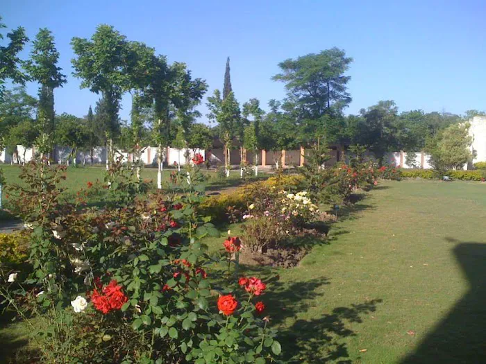 Government College Of Managment Sciences,Haripur Picture 3