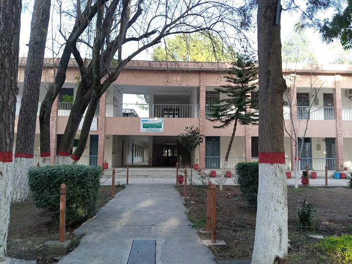 Governmet College for Men Picture 8