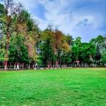 Governmet College for Men