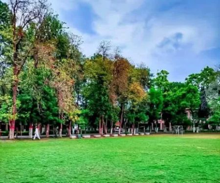Governmet College for Men