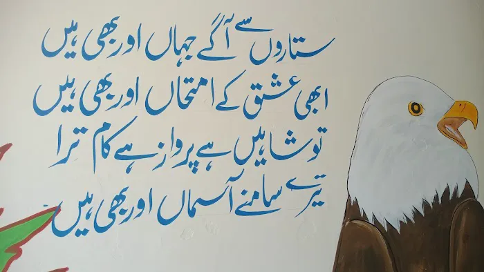 Hazara institute of Medical Sciences Haripur (HIMS) haripur kpk Picture 1