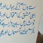 Hazara institute of Medical Sciences Haripur (HIMS) haripur kpk