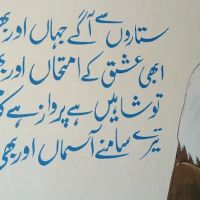 Hazara institute of Medical Sciences Haripur (HIMS) haripur kpk ico