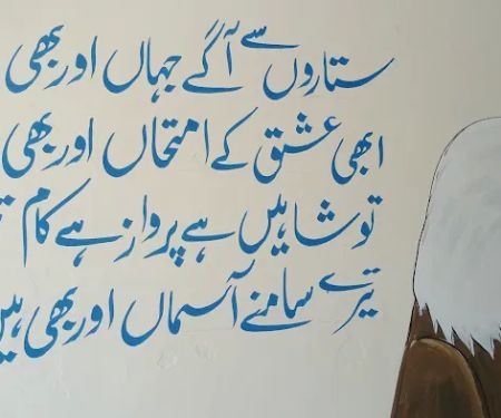 Hazara institute of Medical Sciences Haripur (HIMS) haripur kpk