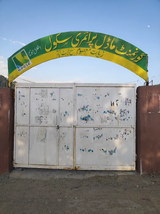 Govt. Model primary school ziarat masoom Picture 1