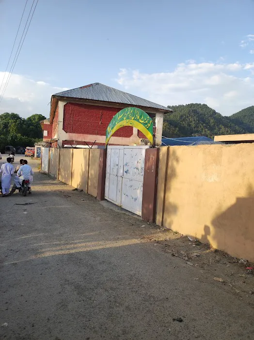 Govt. Model primary school ziarat masoom Picture 2