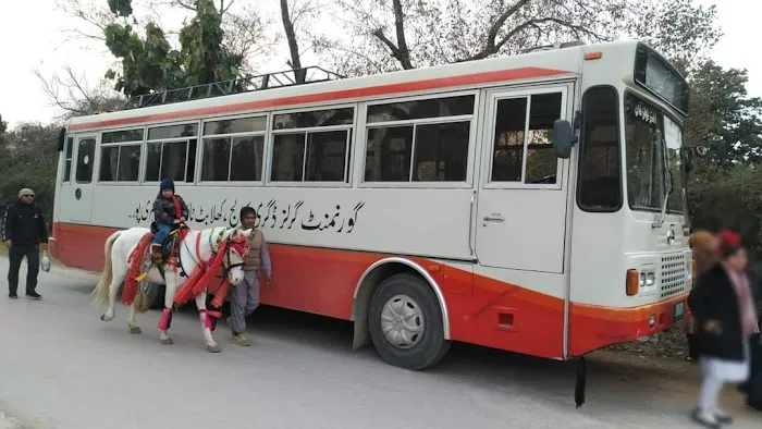 Government Girls Degree College Picture 1
