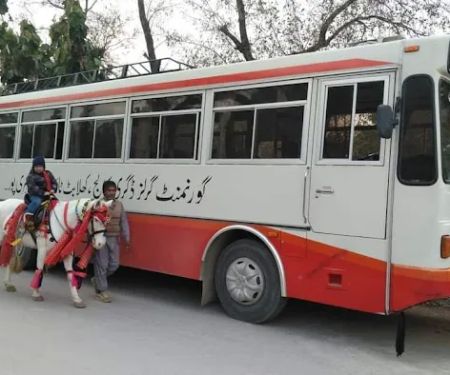 Government Girls Degree College
