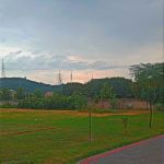 CASE College of Medical Sciences
