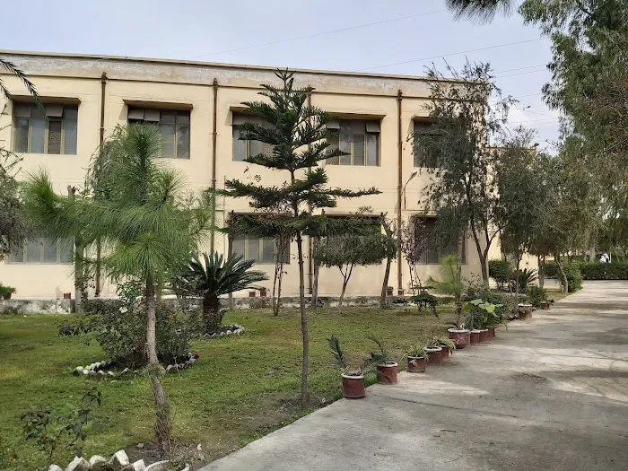 Govt. Associate College For Women Taxila Picture 5