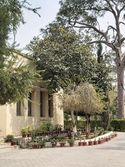 Govt. Associate College For Women Taxila Picture 7