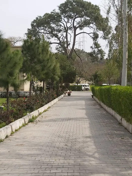 Govt. Associate College For Women Taxila Picture 8