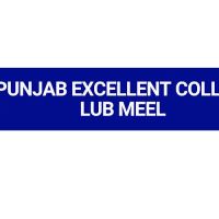 Punjab Excellent College ico