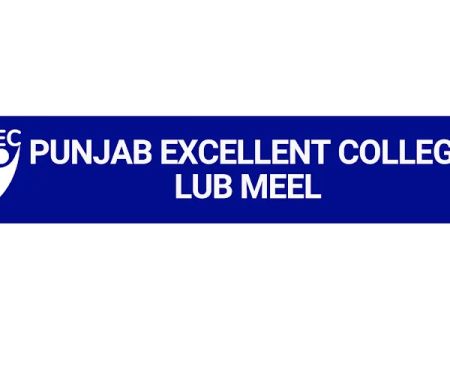 Punjab Excellent College