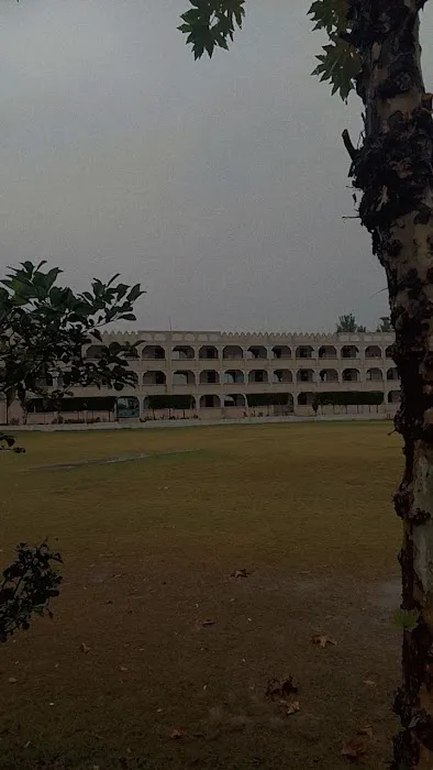 The Peace College Haripur Picture 3