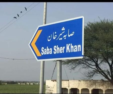 SABA SHER KHAN