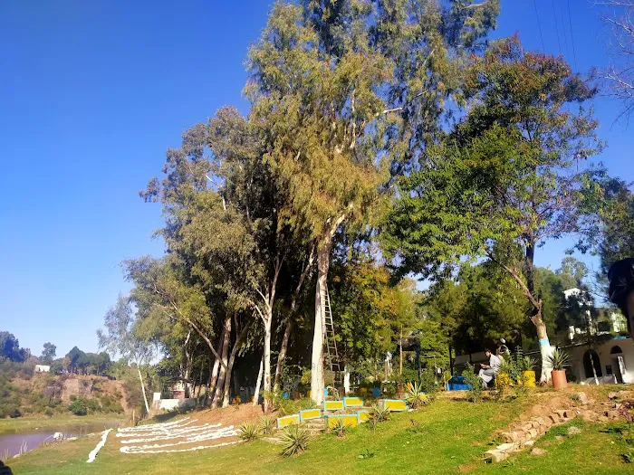 Alhamd Islamic University Picture 4