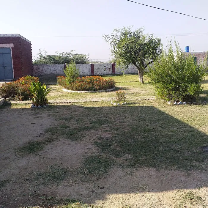 Government Primary School Nothia Gulbaz Picture 4