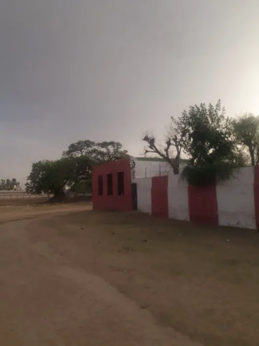 Govt Model Primary School Sood Bhadana Picture 1