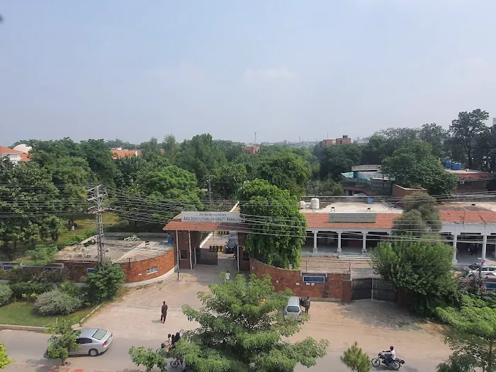 Pir Mehr Ali Shah Arid Agriculture University - PMAS AAUR Picture 7