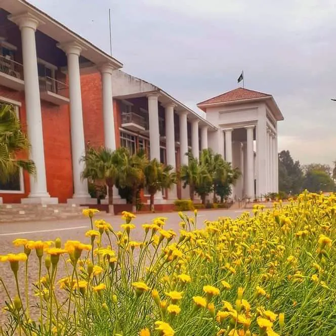 University Institute of Information Technology - PMAS Arid Agriculture University Picture 5